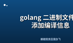 Featured image of post golang 二进制文件中添加编译信息