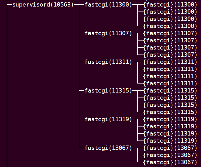 supervisor 启动的多个fastcgi 监听同一个端口